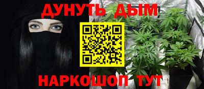 гашик Моздок