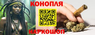 гашик Моздок