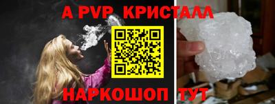 гашик Моздок