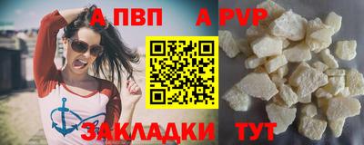 гашик Моздок